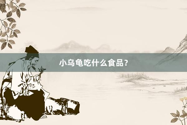 小乌龟吃什么食品？